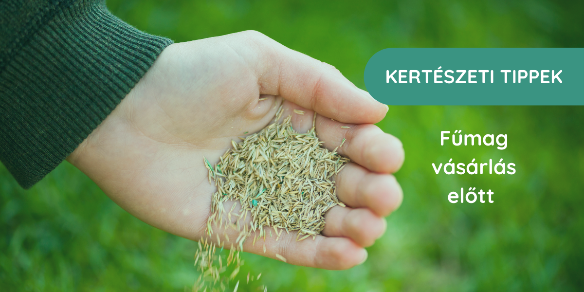Milyen fűmagot válasszak?