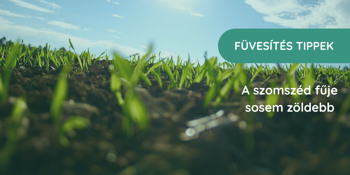 A profi füvesítés titka lépésről lépésre