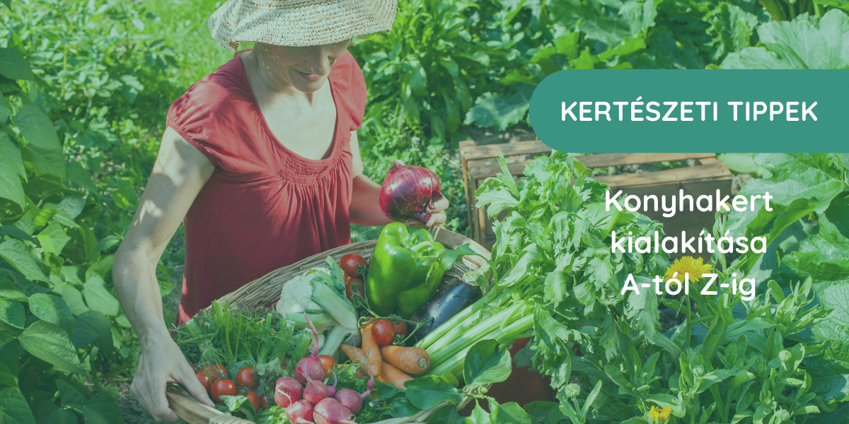 A konyhakert kialakítása: Szakértői tanácsok és inspiráló ötletek