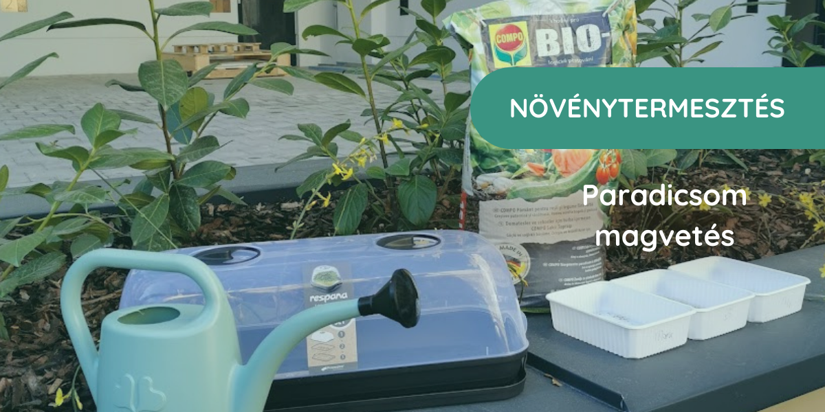 Magvetés képekben - Respana Asztali Palántázóval