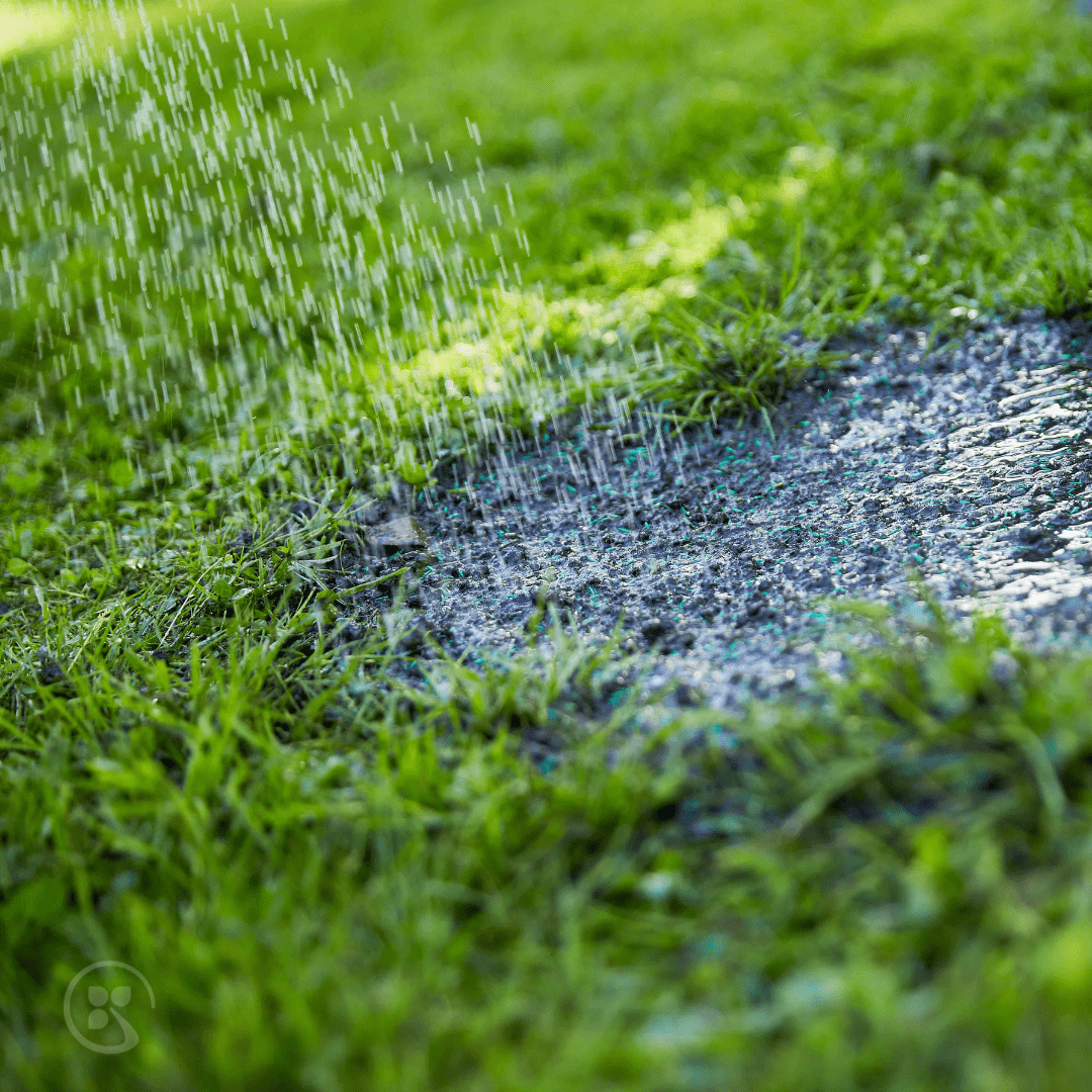 COMPO Ápolás_és_gondozás 1 kg Compo Fűmag Árnyéktűrő 1 kg