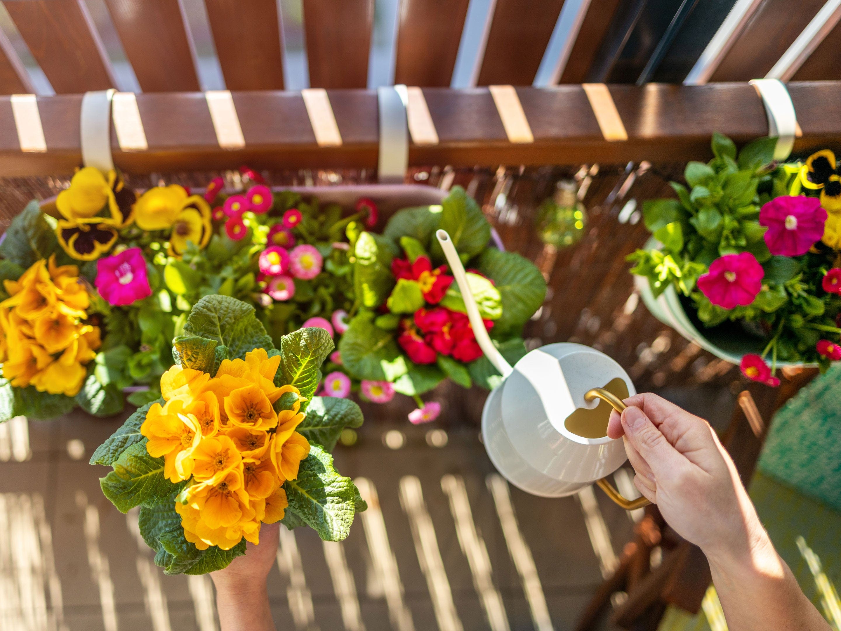 Compo Ápolás_és_gondozás 10 L Compo Complete Általános Virágföld 10L