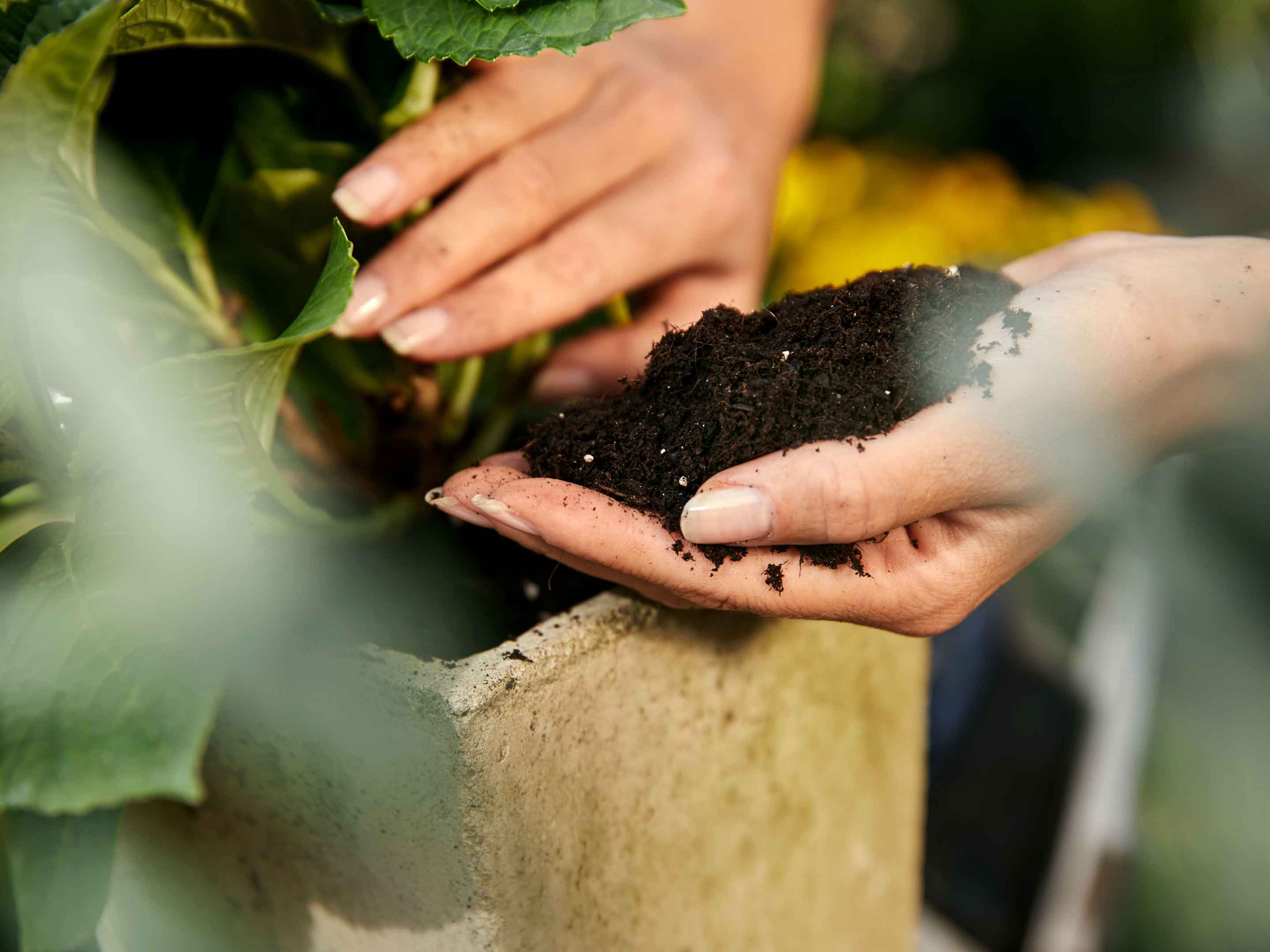 Compo Ápolás_és_gondozás 10 L Compo Complete Általános Virágföld 10L