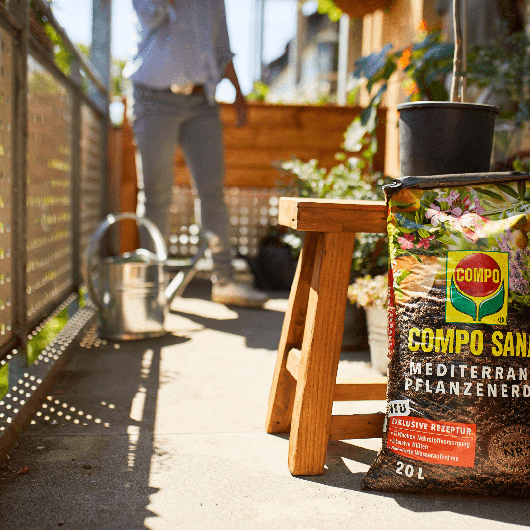 COMPO Ápolás_és_gondozás 20 l Compo Sana Mediterrán Virágföld