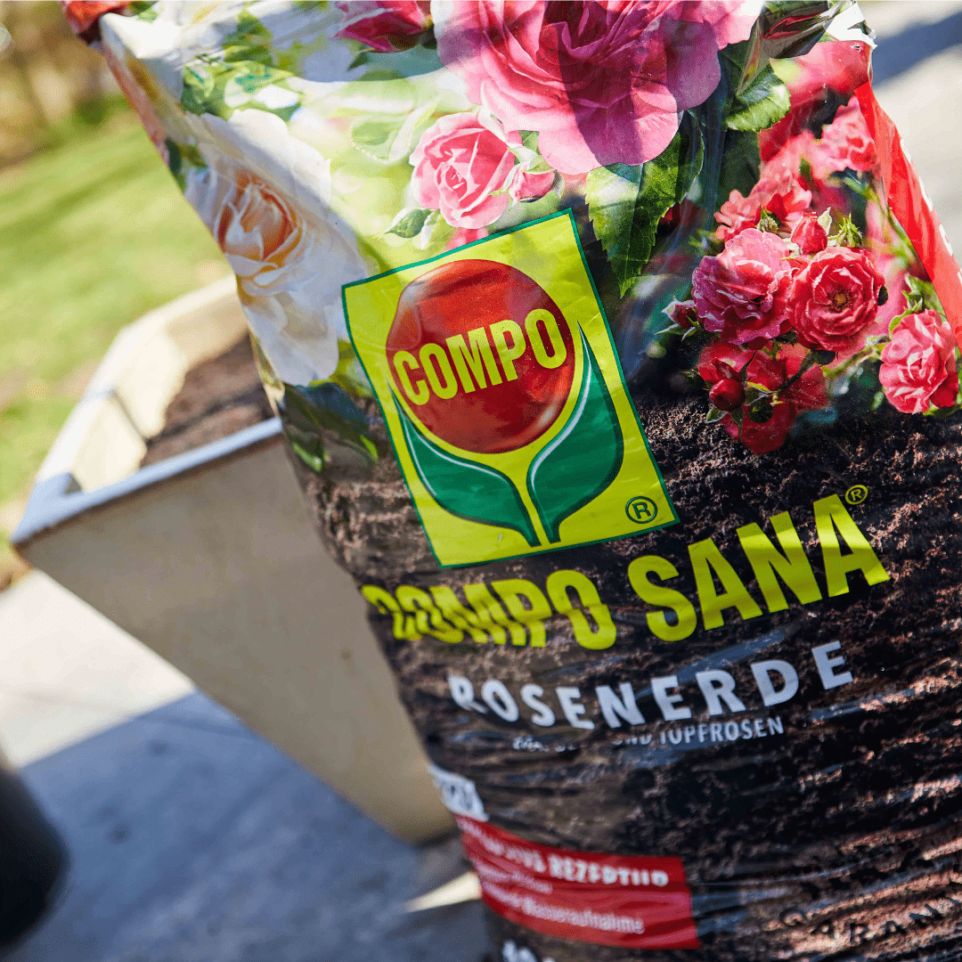 Compo Ápolás_és_gondozás 20 l Compo Sana Rózsaföld