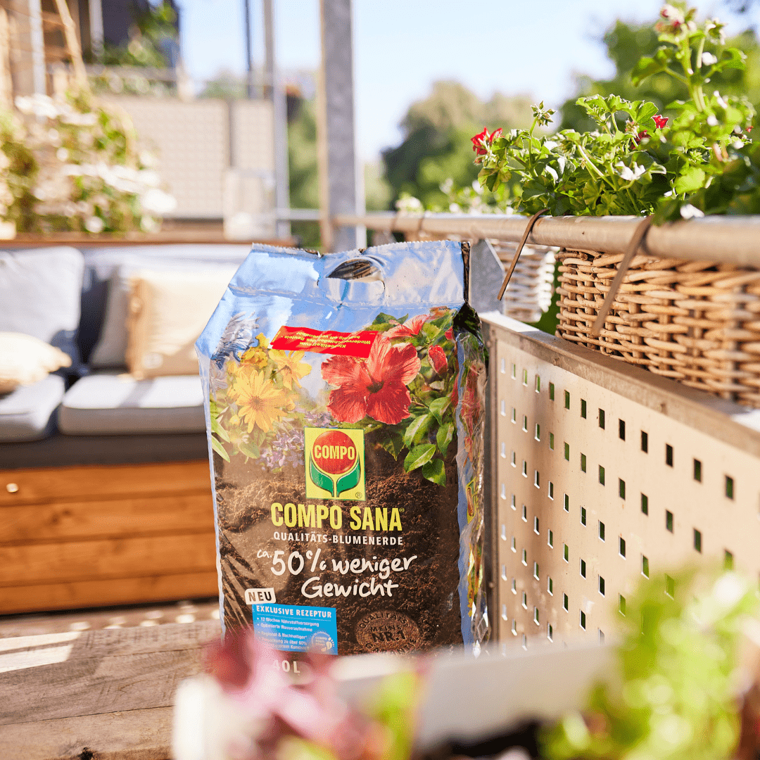 COMPO Ápolás_és_gondozás 40 l Compo Sana Könnyű Virágföld 40l