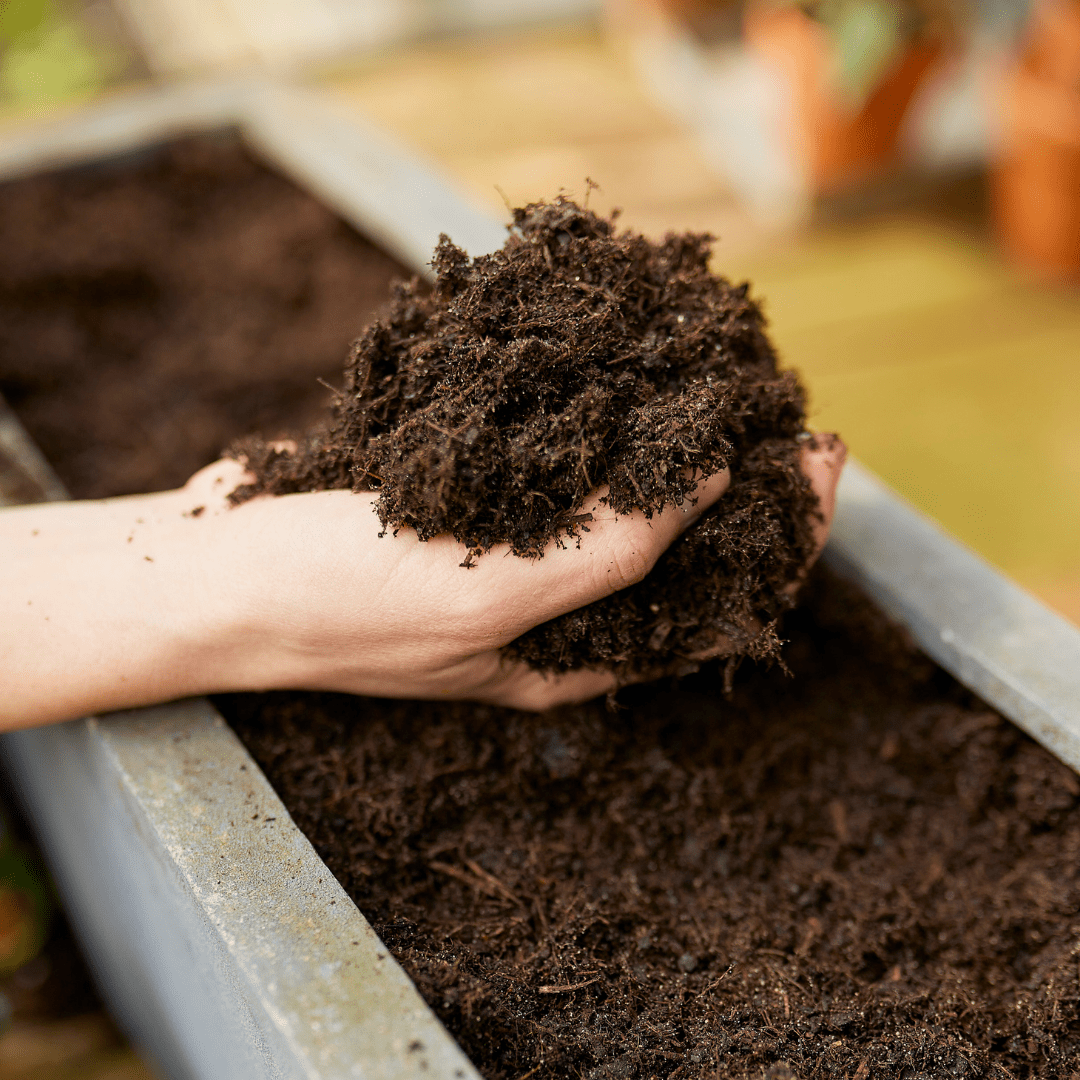 COMPO Ápolás_és_gondozás 5 l Compo BIO Palánta-és Fűszernövényföld 5l