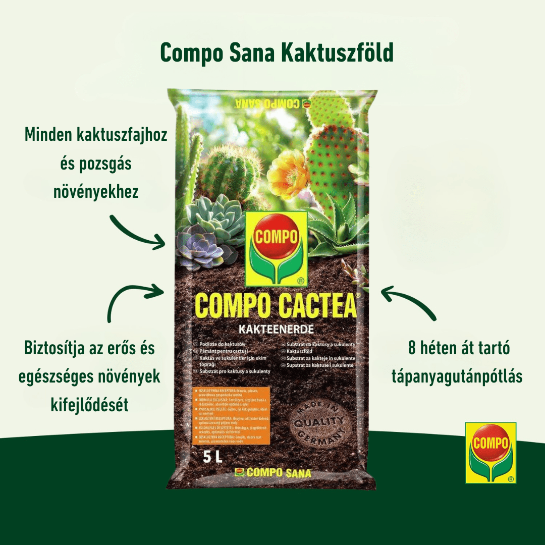 COMPO Ápolás_és_gondozás 5 l Compo Sana Kaktuszföld