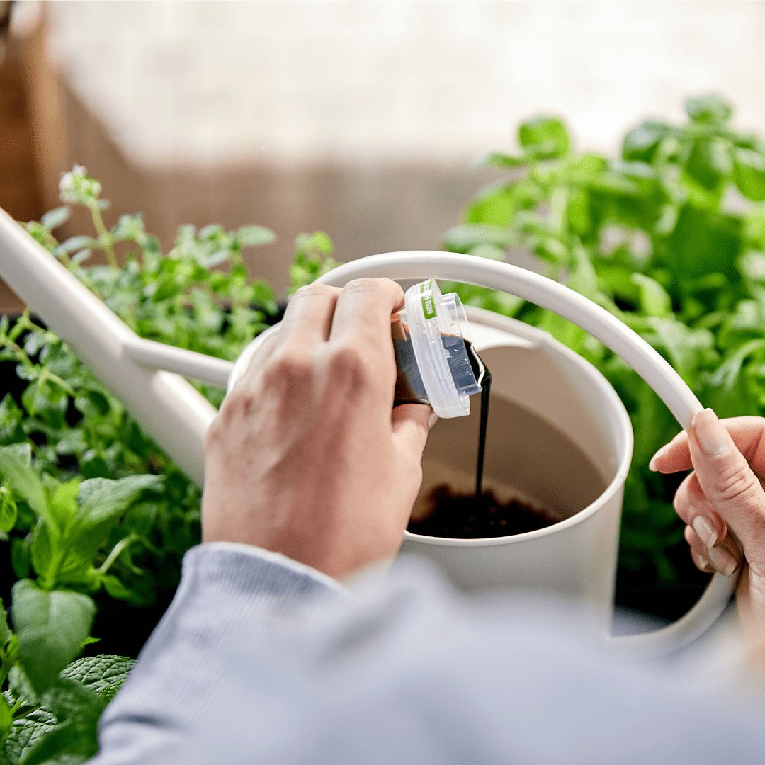 COMPO Ápolás_és_gondozás 500 ml Compo Bio Gyógy- És Fűszernövény Tápoldat 0,5L