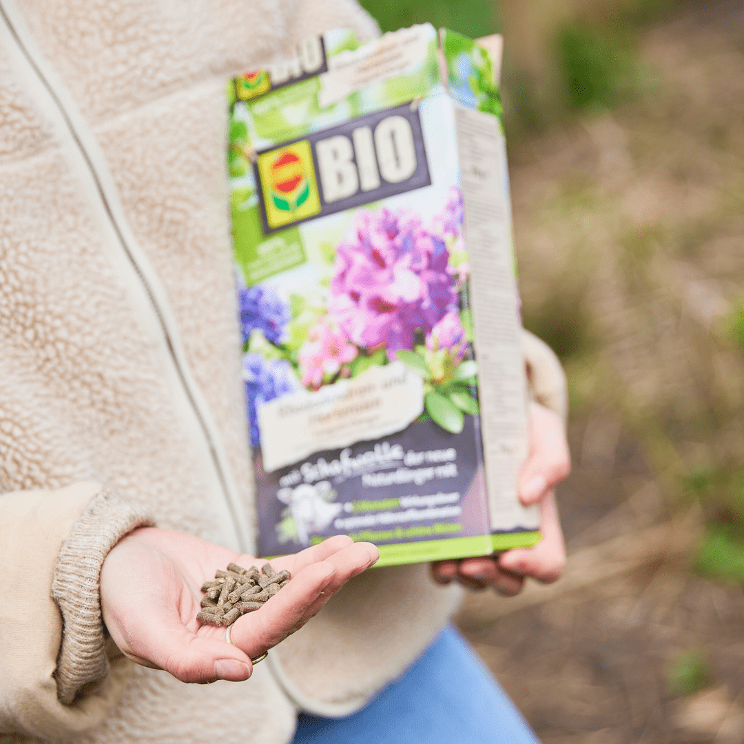 COMPO Ápolás_és_gondozás 750 g Compo Biotáp Rhododendronhoz Gyapjúval