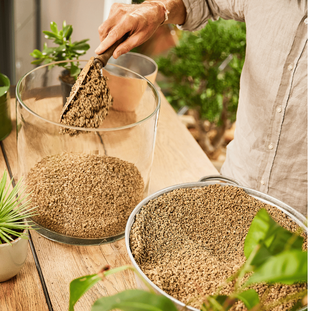 COMPO Ápolás_és_gondozás COMPO BIO Granuplant Beltéri Vízelvezető és Ültetőgranulátum