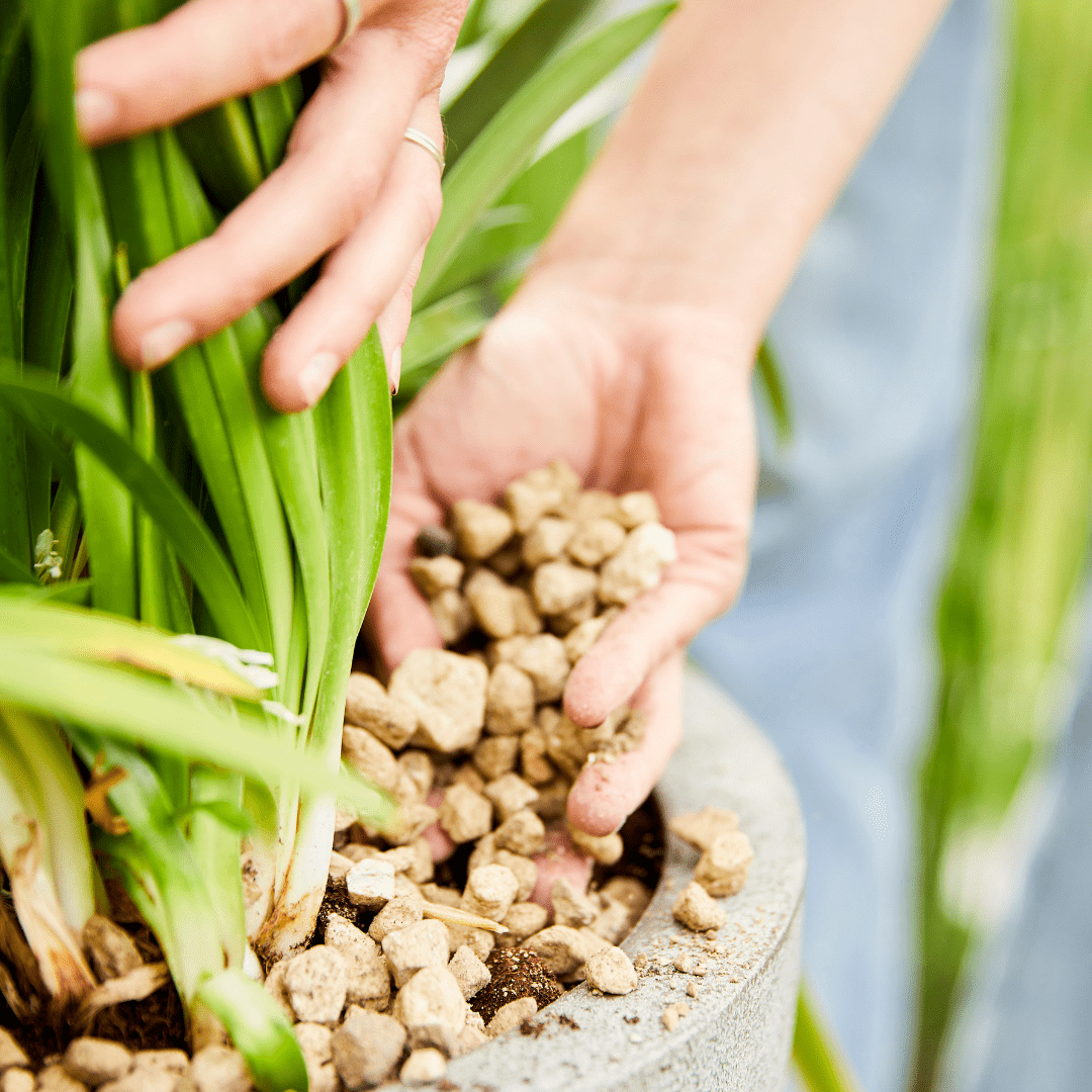 COMPO Ápolás_és_gondozás COMPO Bio Granuplant Kültéri Vízelvezető és Ültetőgranulátum