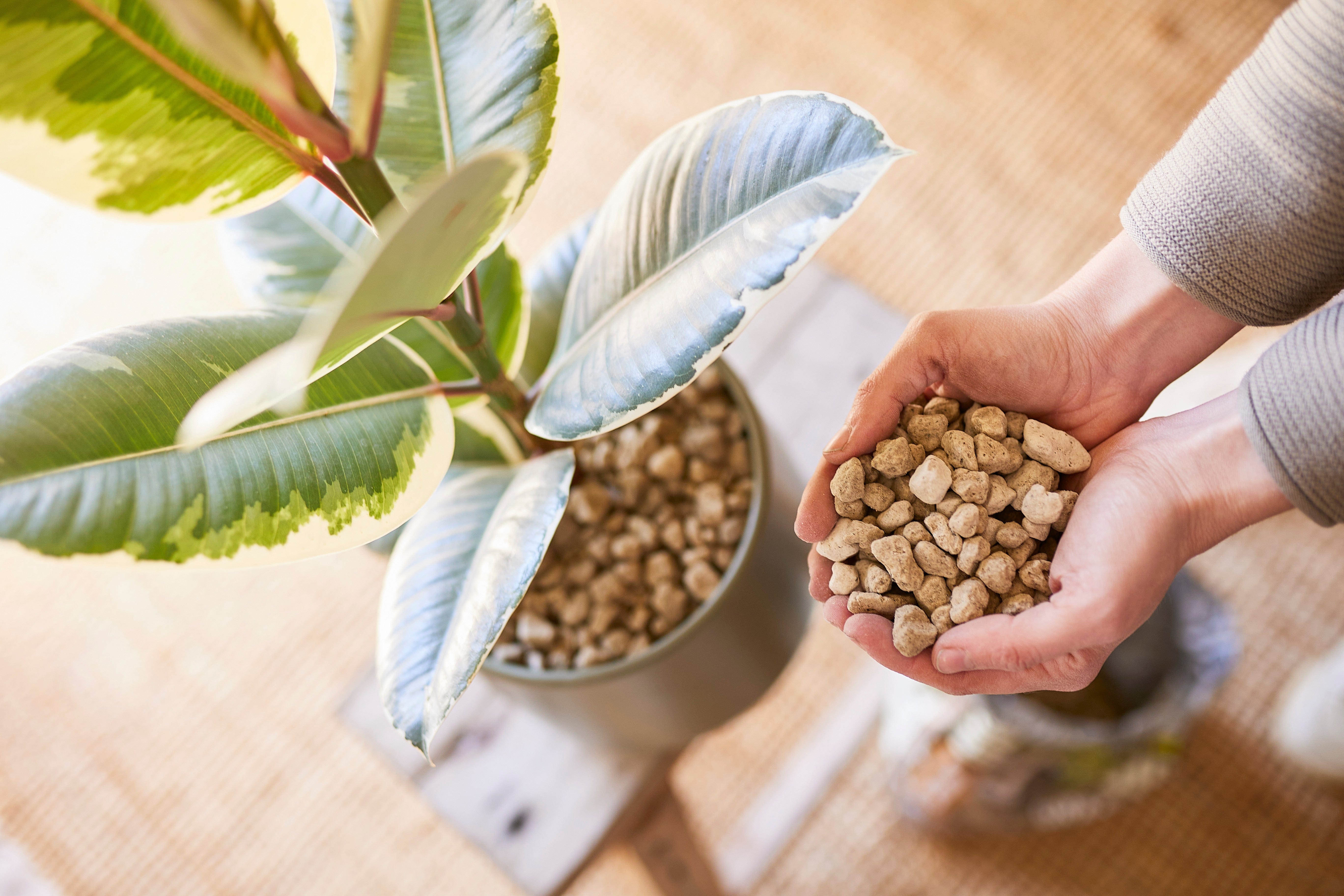 COMPO Ápolás_és_gondozás COMPO Bio Granuplant Kültéri Vízelvezető és Ültetőgranulátum