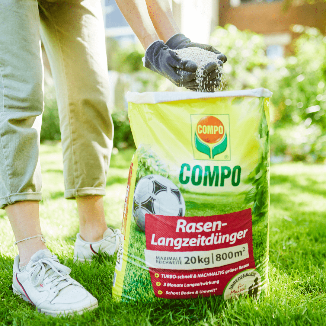 COMPO Ápolás_és_gondozás Compo Gyeptrágya Hosszú Hatású Pázsit