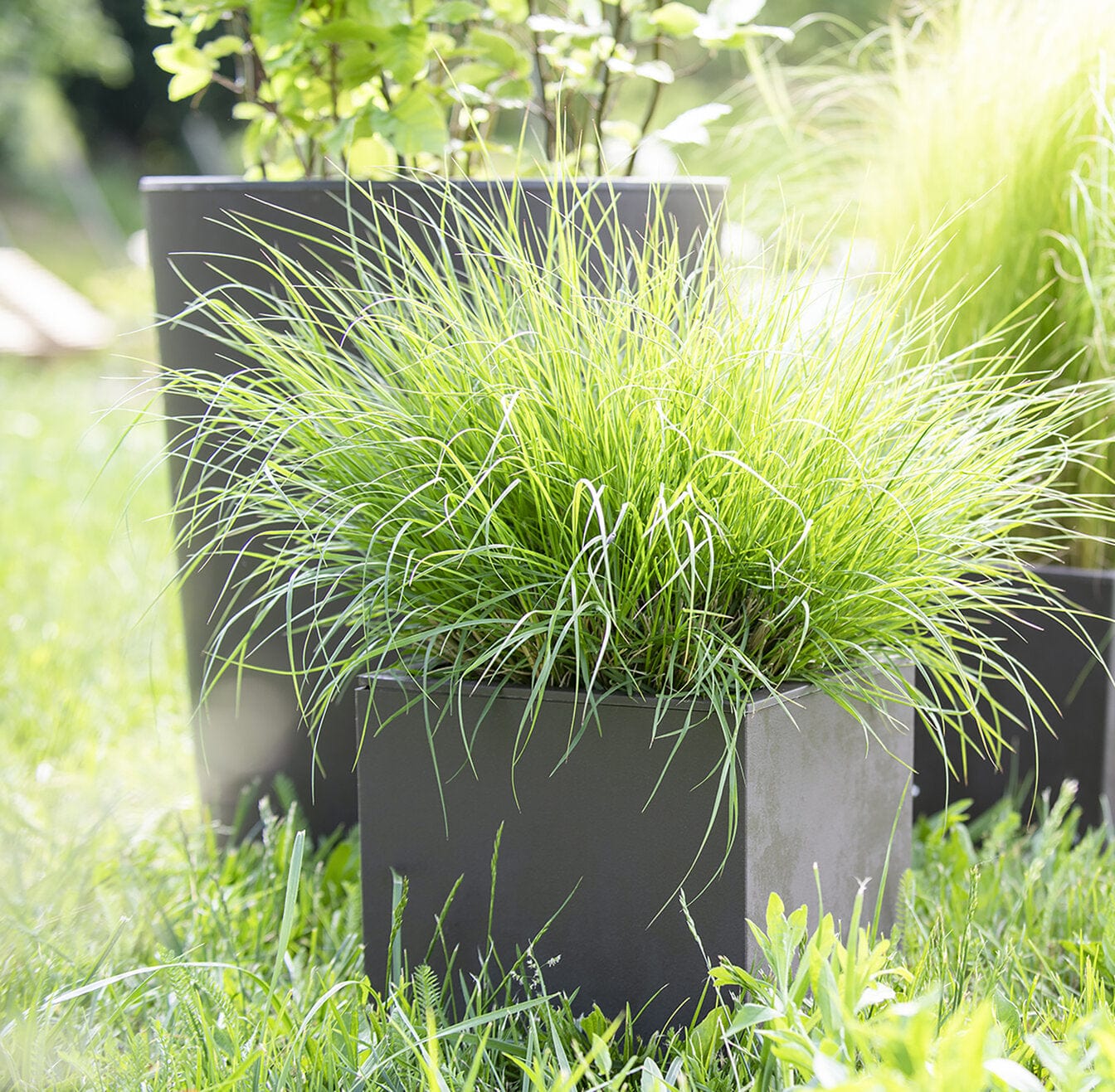 Deroma Növénytartók Millennium Láda Cubo