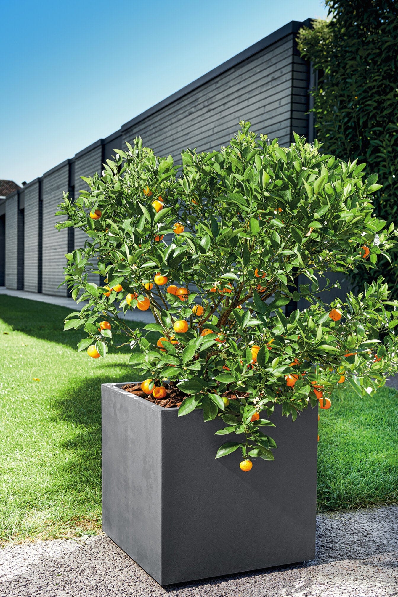 Deroma Növénytartók Millennium Láda Cubo