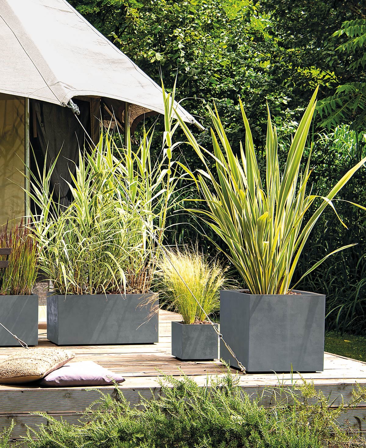 Deroma Növénytartók Millennium Láda Cubo