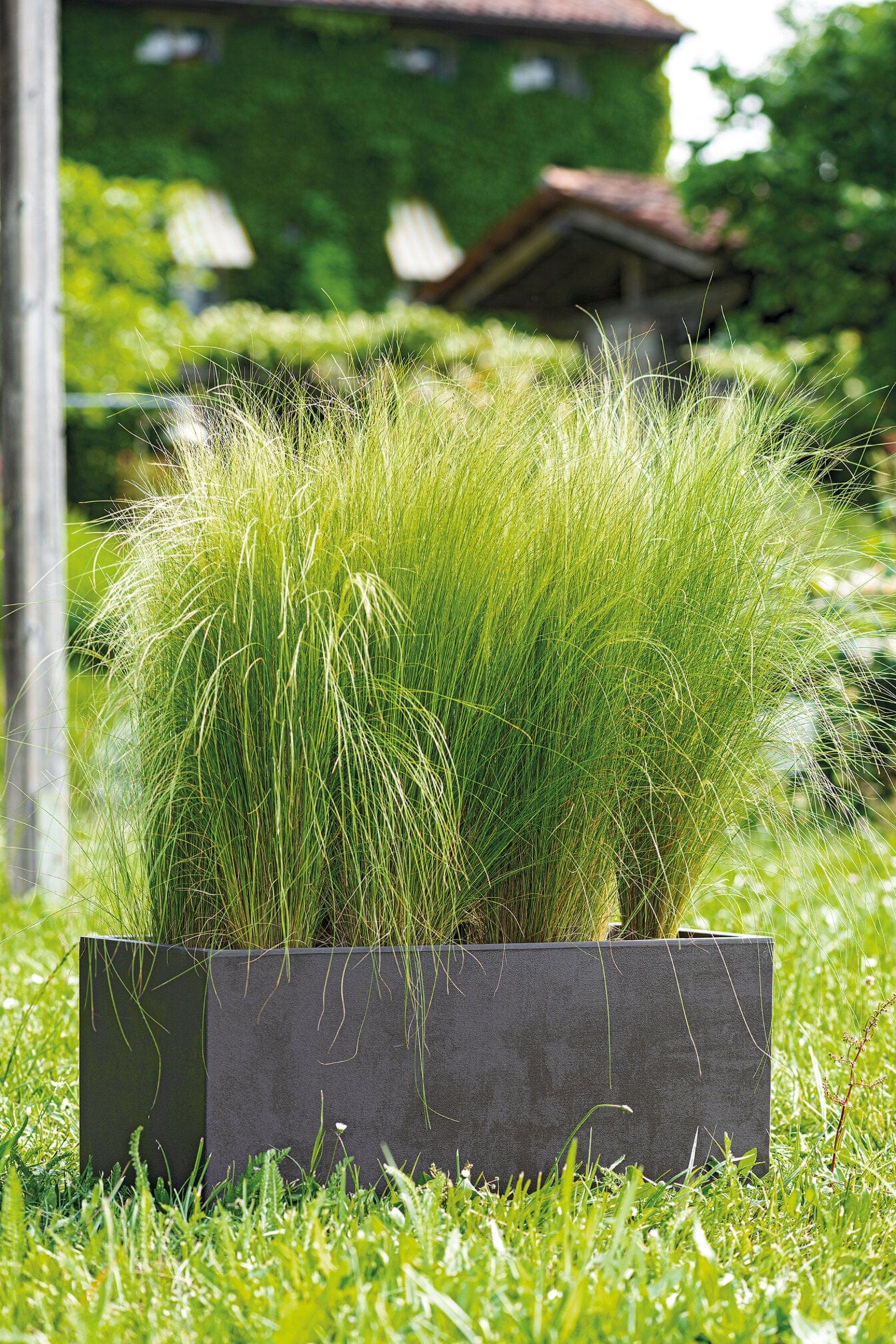 Deroma Növénytartók Millennium Virágláda