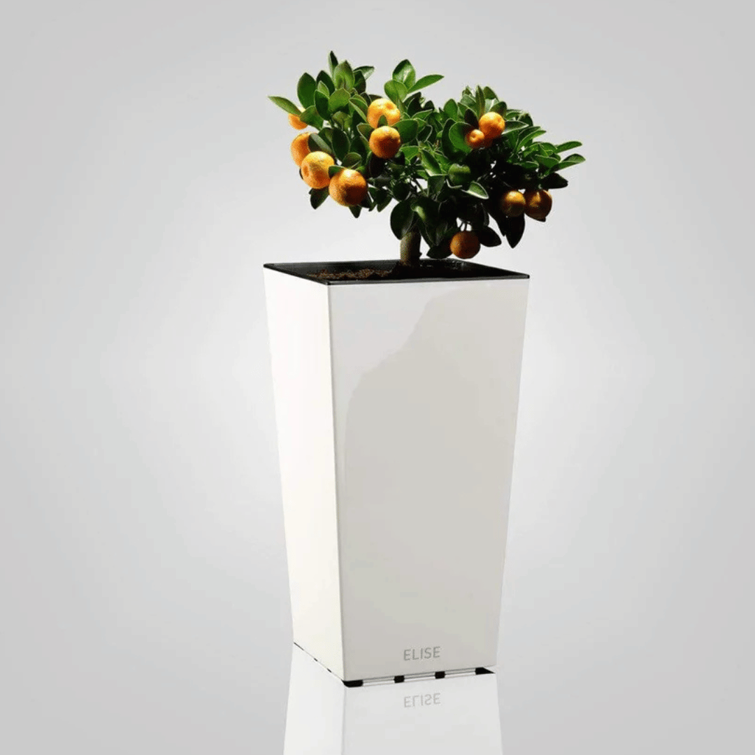 Plastkon Növénytartók Elise Kaspó Betéttel