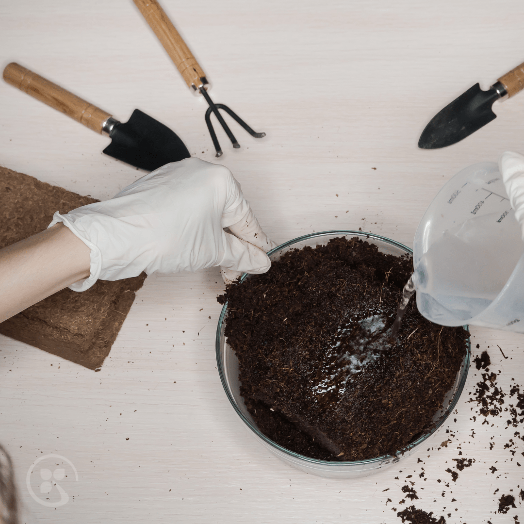 Pro Horto Ápolás_és_gondozás 3 db Kókuszrost Tégla 3 db