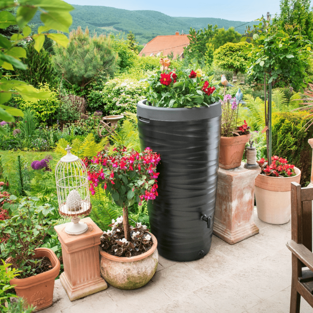 Prosperplast Kerti kiegészítők Maze Esővízgyűjtő 240L