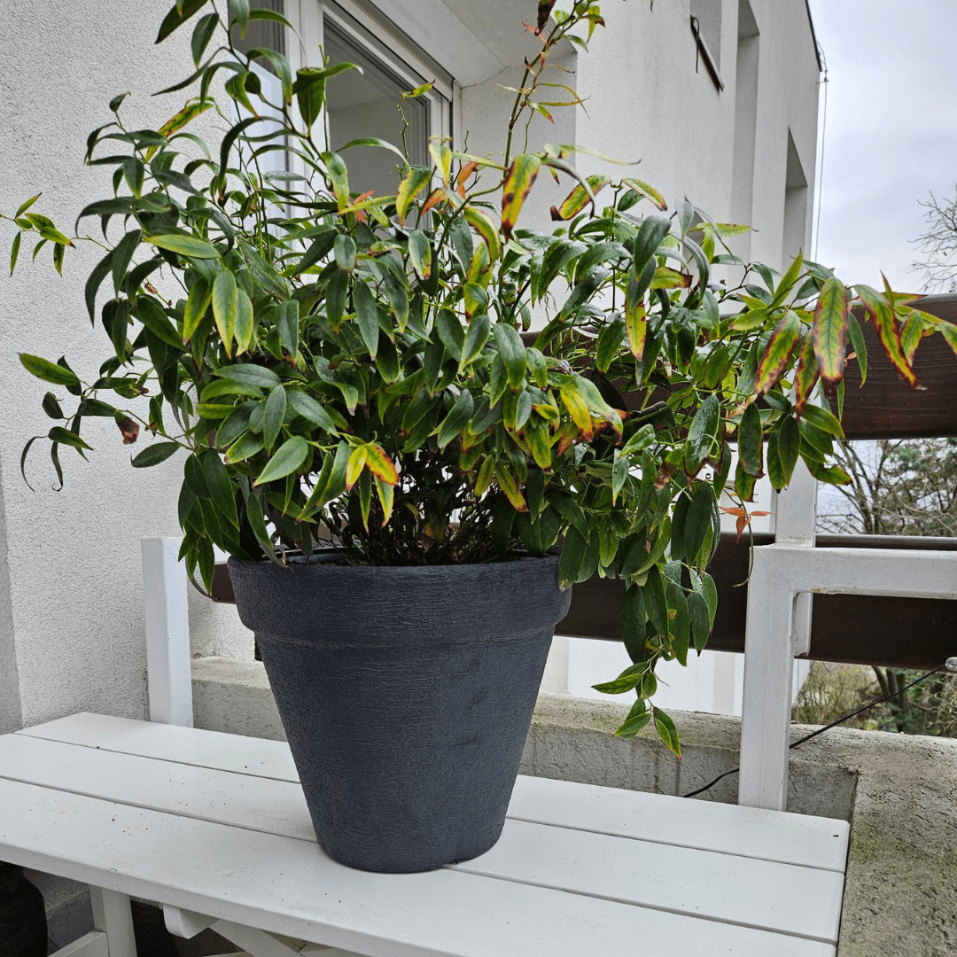 Prosperplast Növénytartók Classic Műanyag Cserép