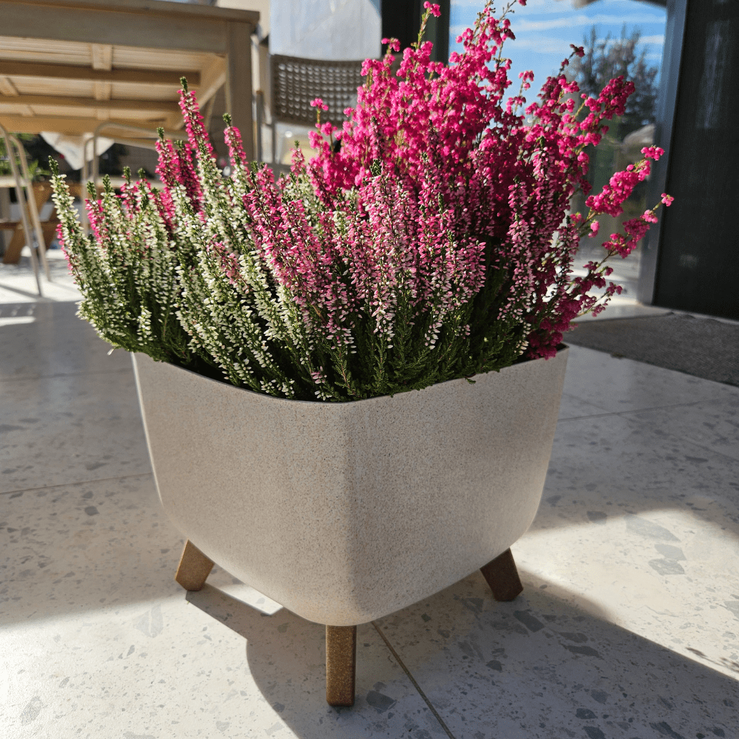 Prosperplast Növénytartók Gracia Case Eco Wood Virágláda Lábakkal