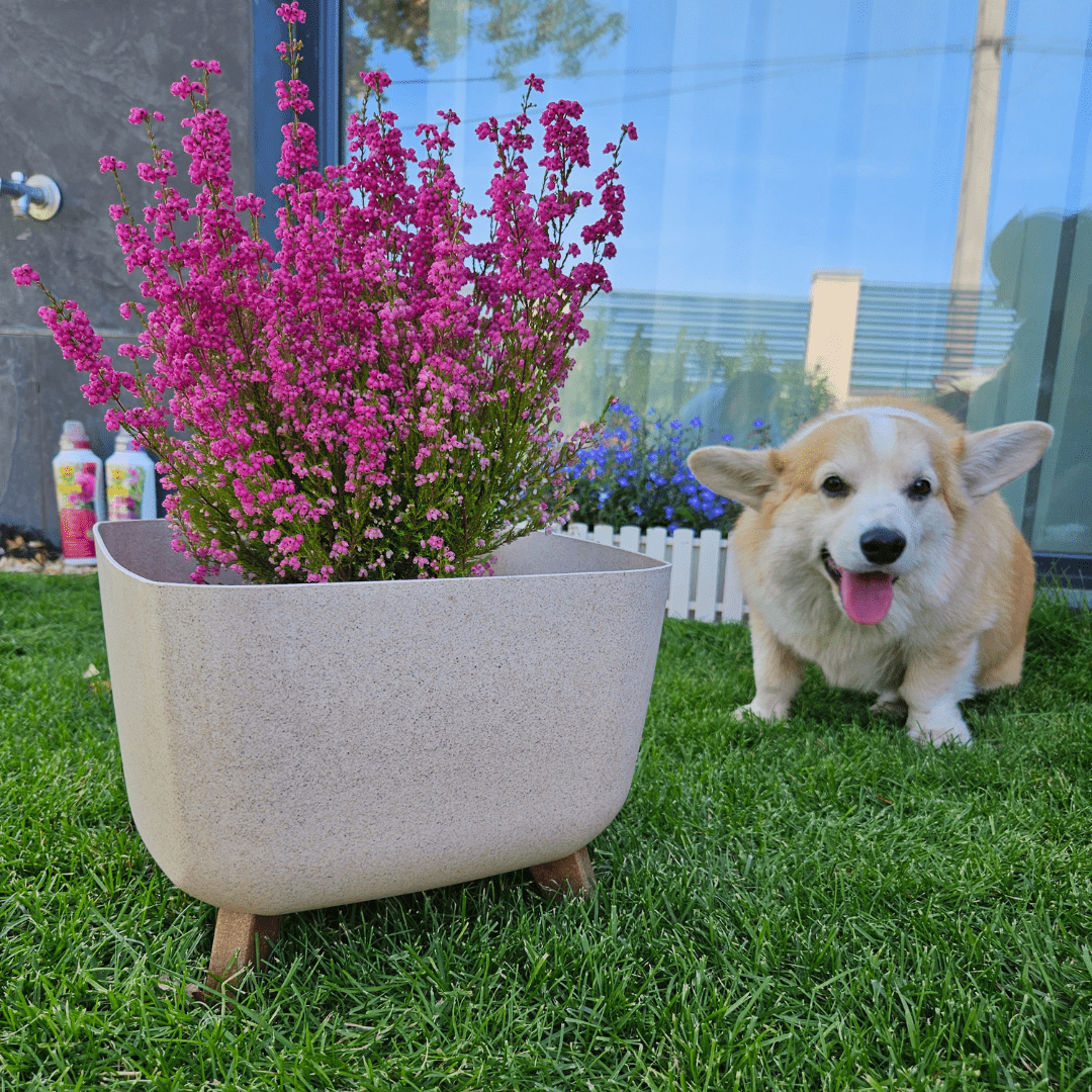 Prosperplast Növénytartók Gracia Square Eco Wood Kaspó Betéttel és Lábakkal 29 x 29 cm