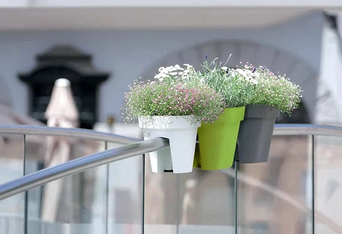 Prosperplast Növénytartók Korlátláda Lofly