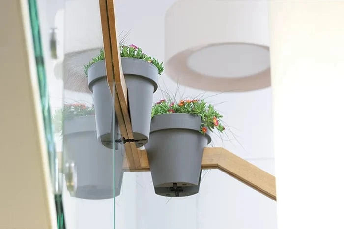 Prosperplast Növénytartók Korlátláda Lofly