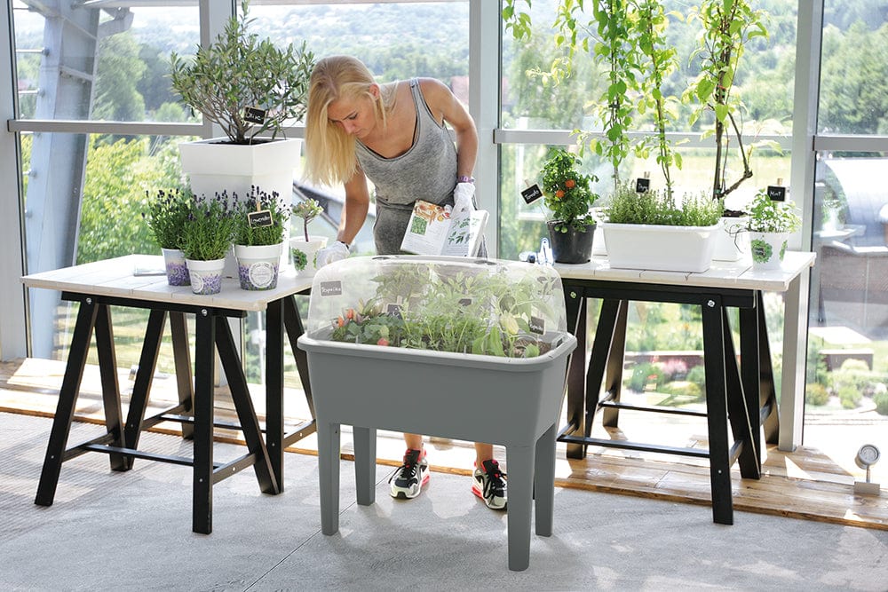 Prosperplast Növénytartók szürke PP Magas palántázó kisebb