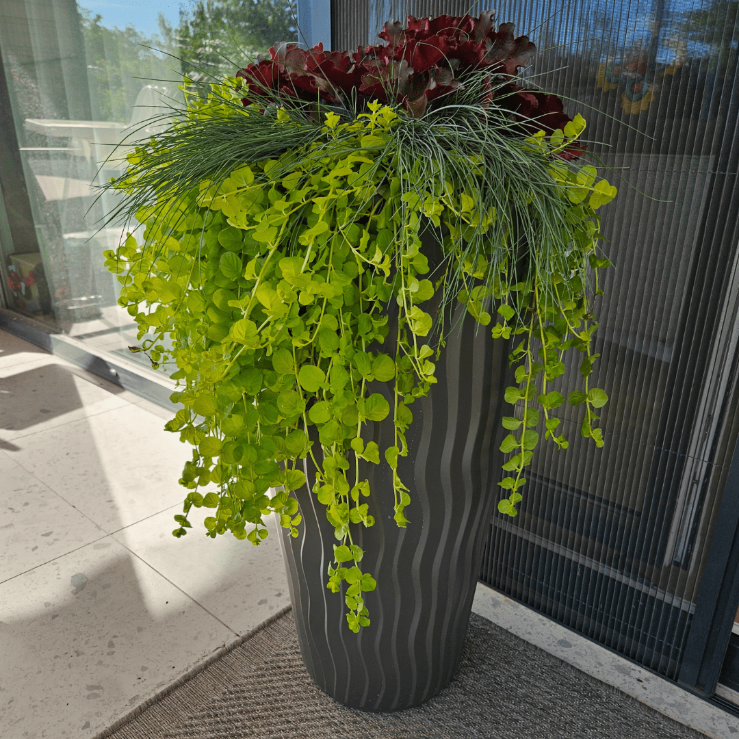 Prosperplast Növénytartók Virágtartó Sandy Slim Betéttel