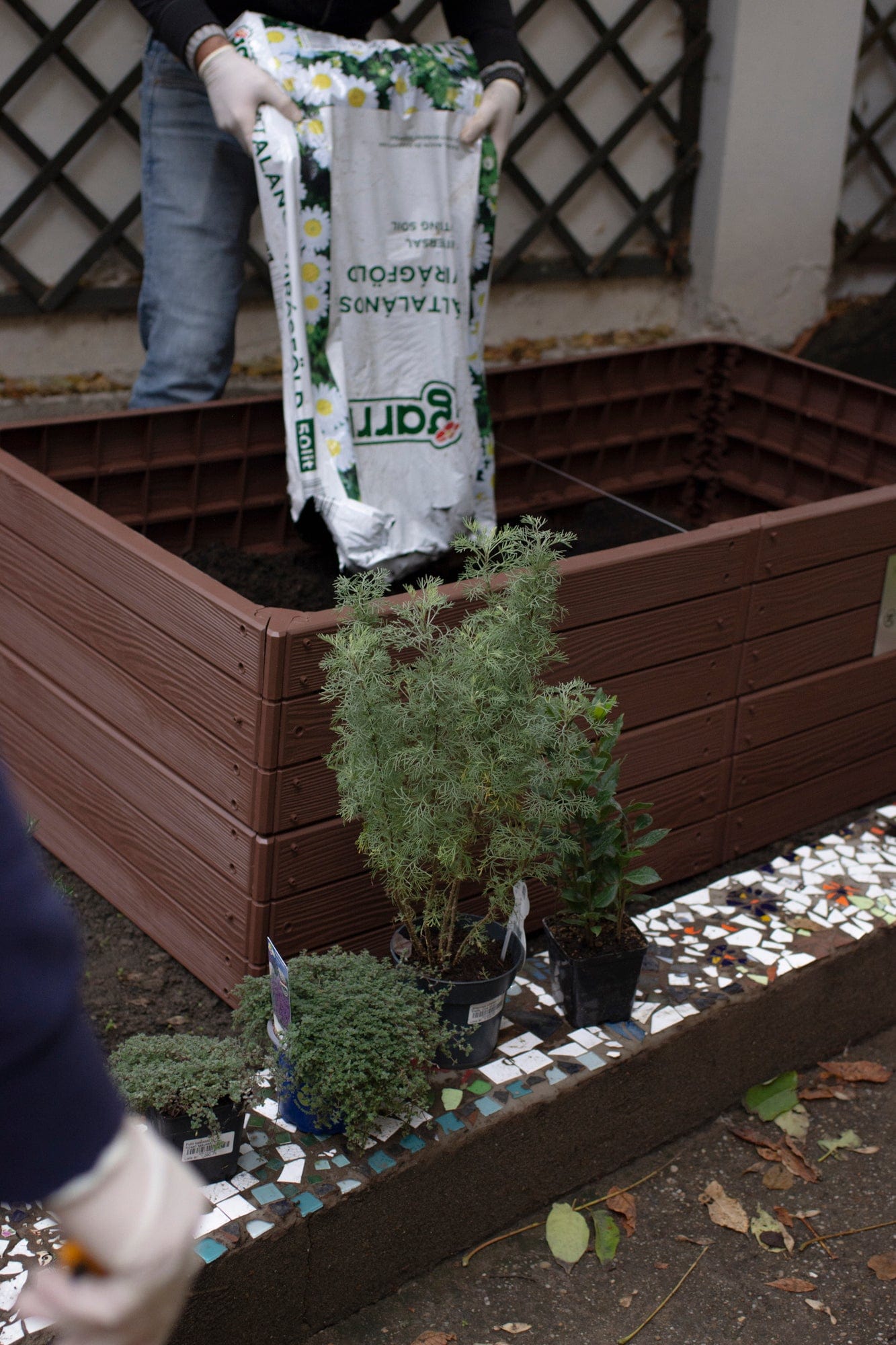 Prosperplast Növénytartók Woody Téglalap Magaságyás - Fahatású, 149x76x25 cm