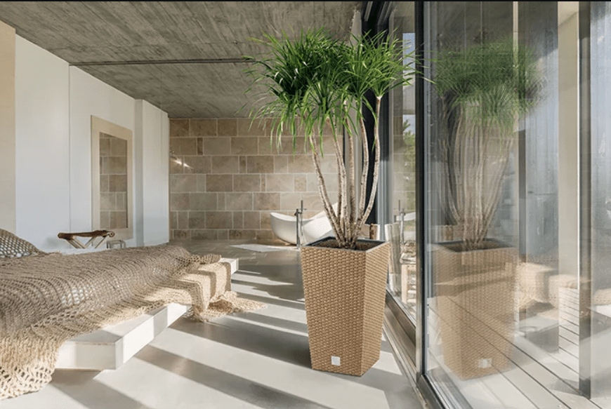 Prosperplast Rato Négyzet Eco Wood Növénytartó