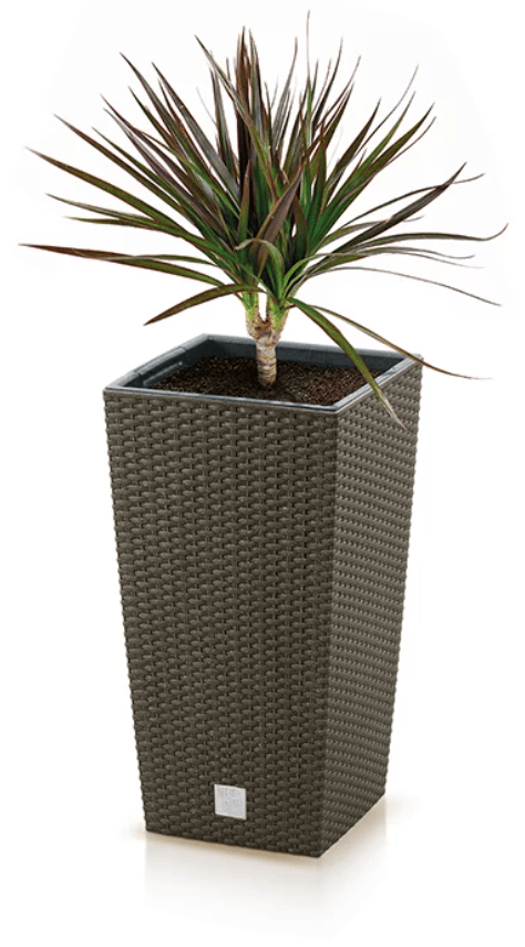 Prosperplast Rato Négyzet Eco Wood Növénytartó