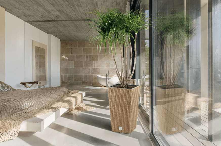 Prosperplast Rato Négyzet Eco Wood Növénytartó