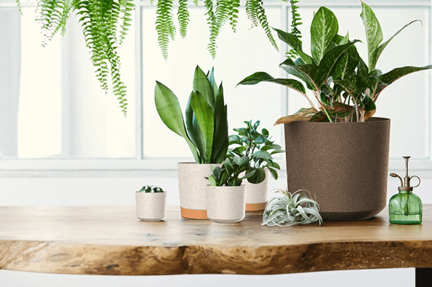 Prosperplast Tubo Eco Wood Kaspó