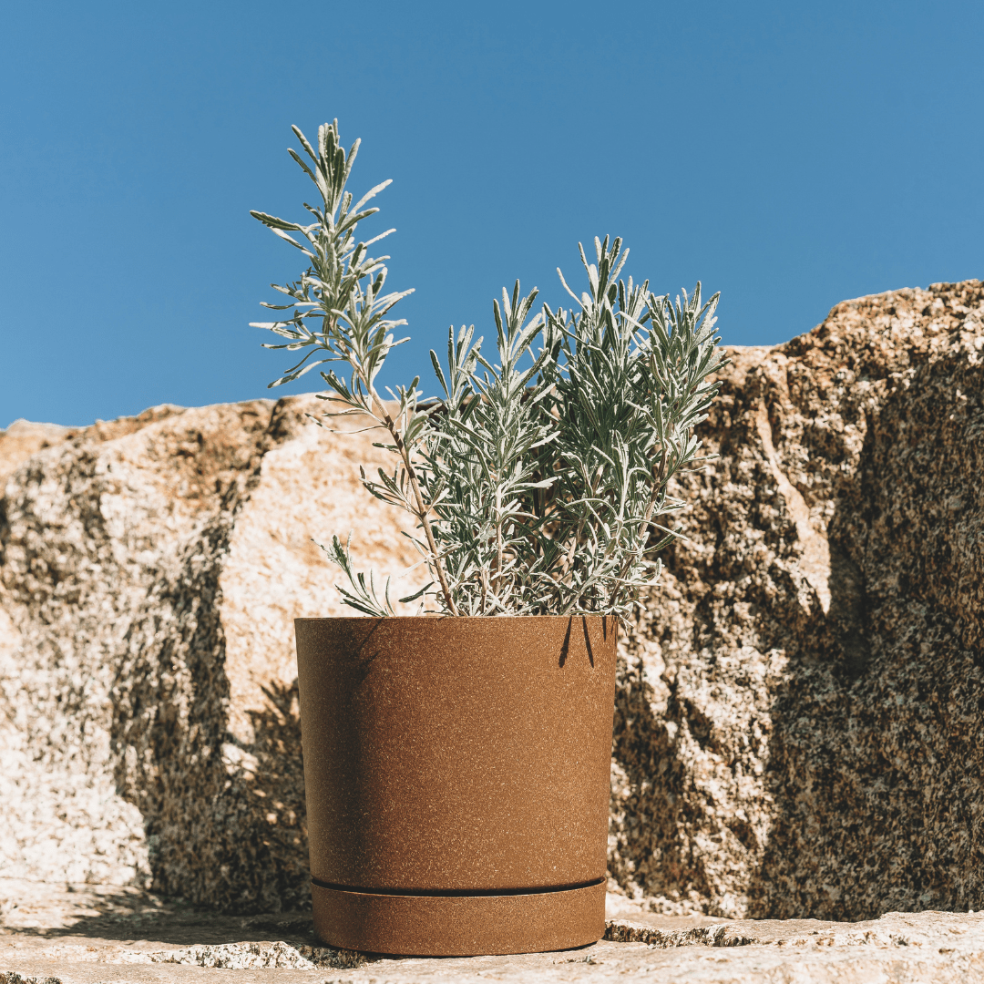 Prosperplast Tubo P Eco Wood Kaspó