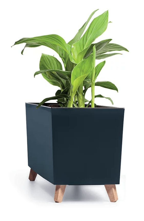 Prosperplast Urbi Case N Balkonláda Lábakkal 77 cm