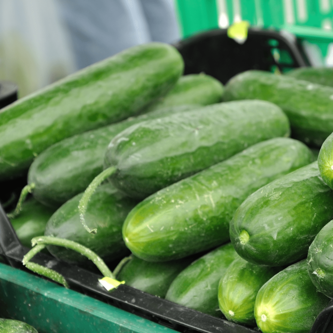 Rédei Ápolás_és_gondozás 10 szem Mini Salátauborka - Kalimero F1 vetőmag