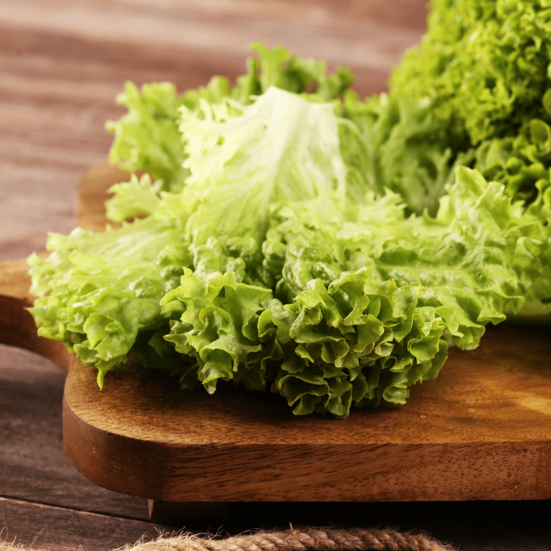 Rédei Ápolás_és_gondozás 3g Tépősaláta - Lollo Bionda vetőmag