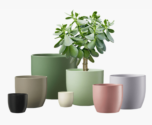 Soendgen Növénytartók Basel Kaspó