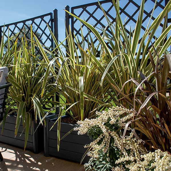 Stefanplast Növénytartók Itália Rácsos Virágláda