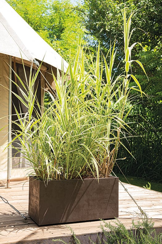 Deroma Növénytartók Virágláda Millenium