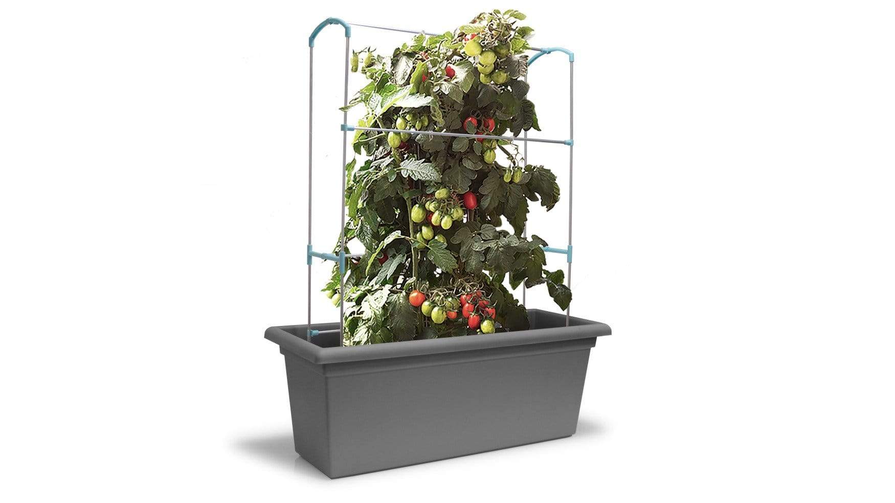 Gardino antracit Magnus futtató állvány