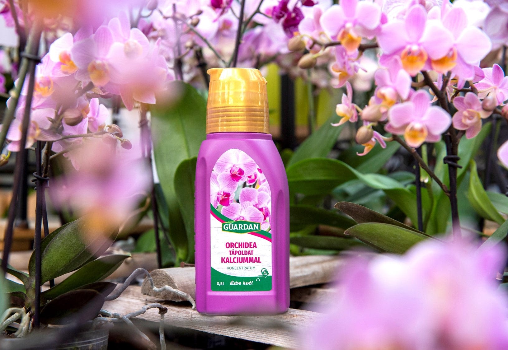 Gardino Ápolás_és_gondozás 0,5 l Guardan Tápoldat Orchidea