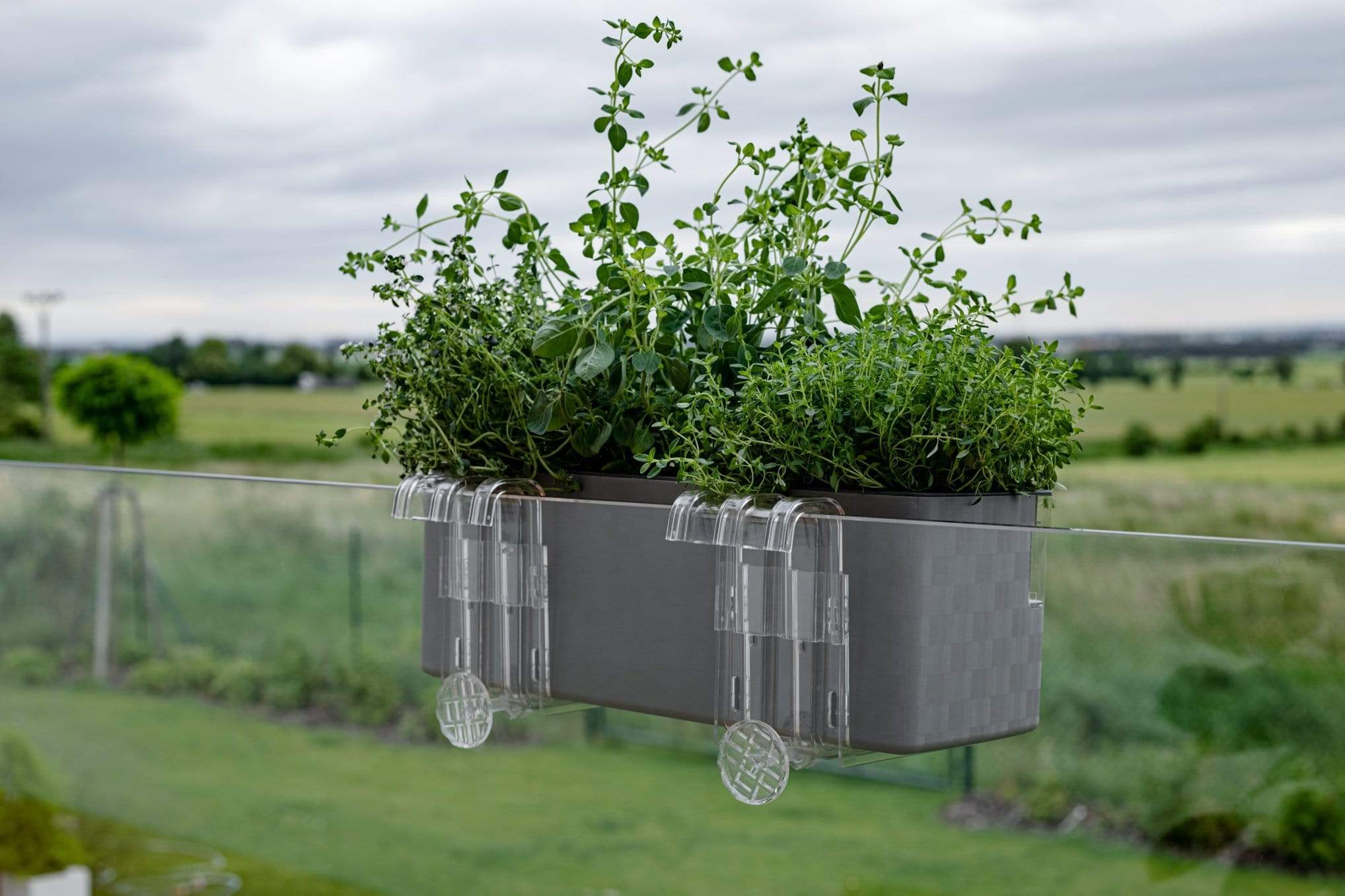 Gardino Növénytartók átlátszó Kaspó és Balkonládatartó Cobble