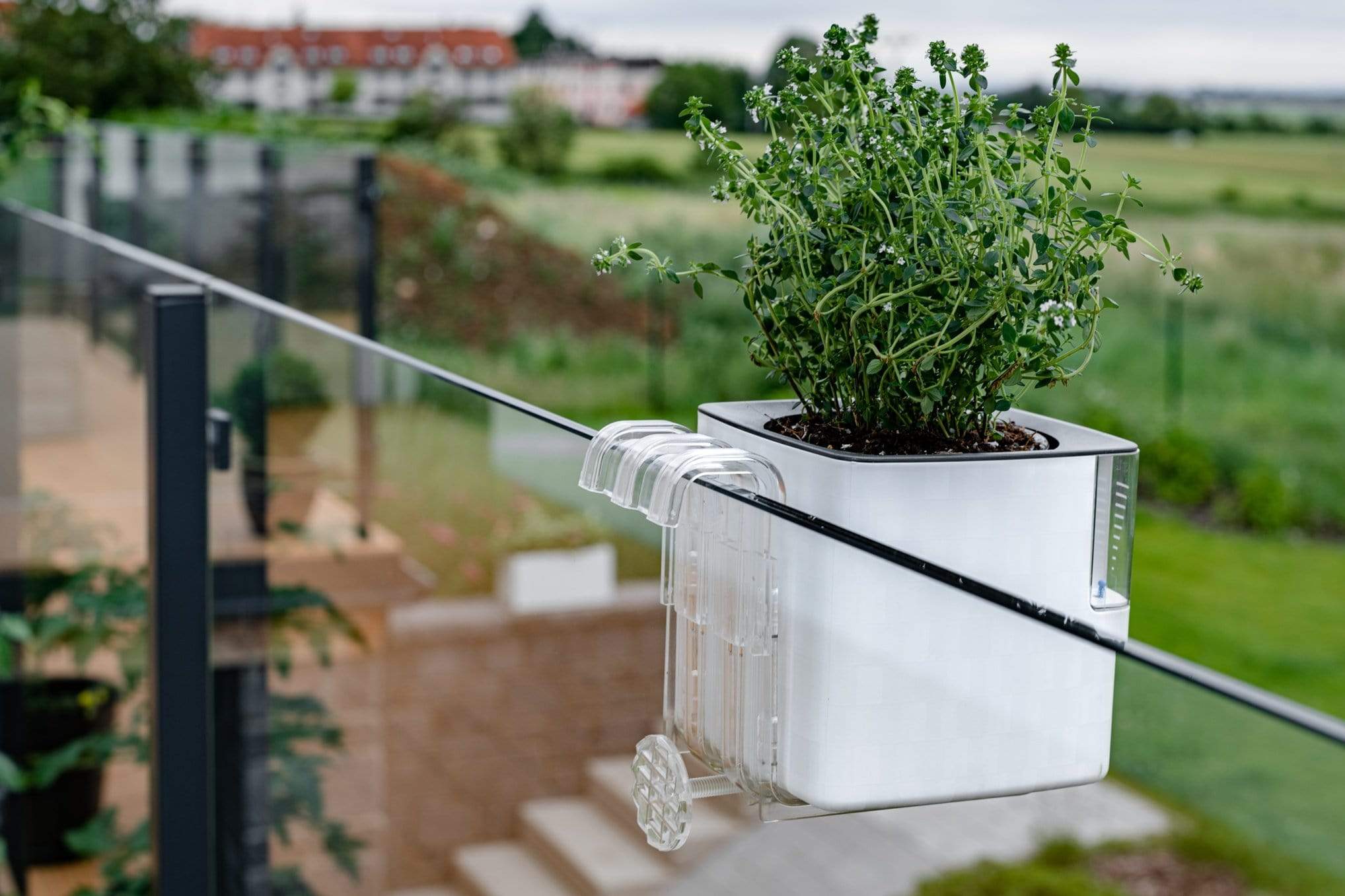 Gardino Növénytartók átlátszó Kaspó és Balkonládatartó Cobble