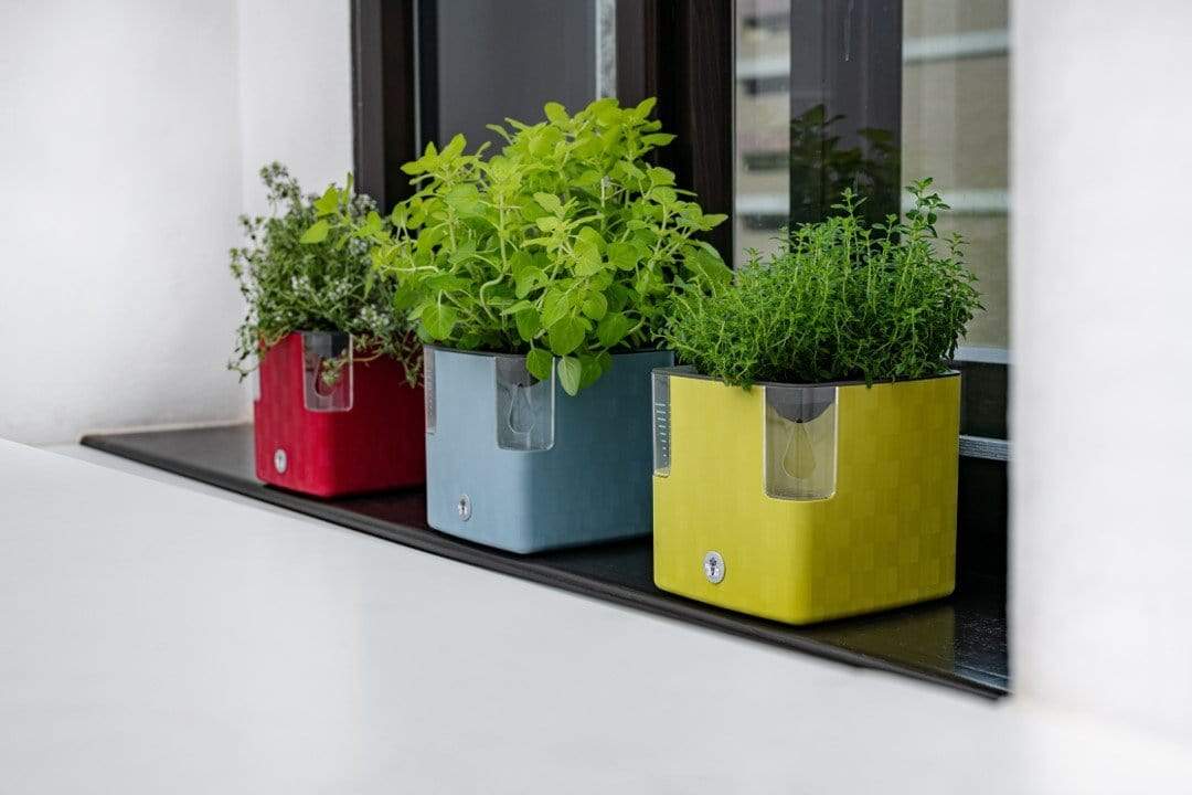 Gardino Növénytartók Kaspó Cobble Okos Önöntözős