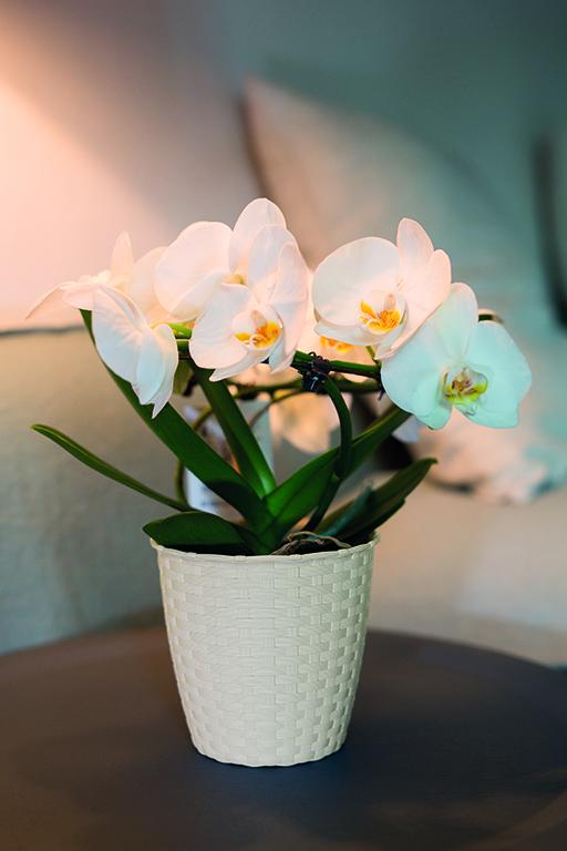 Gardino Növénytartók Natural Kaspó